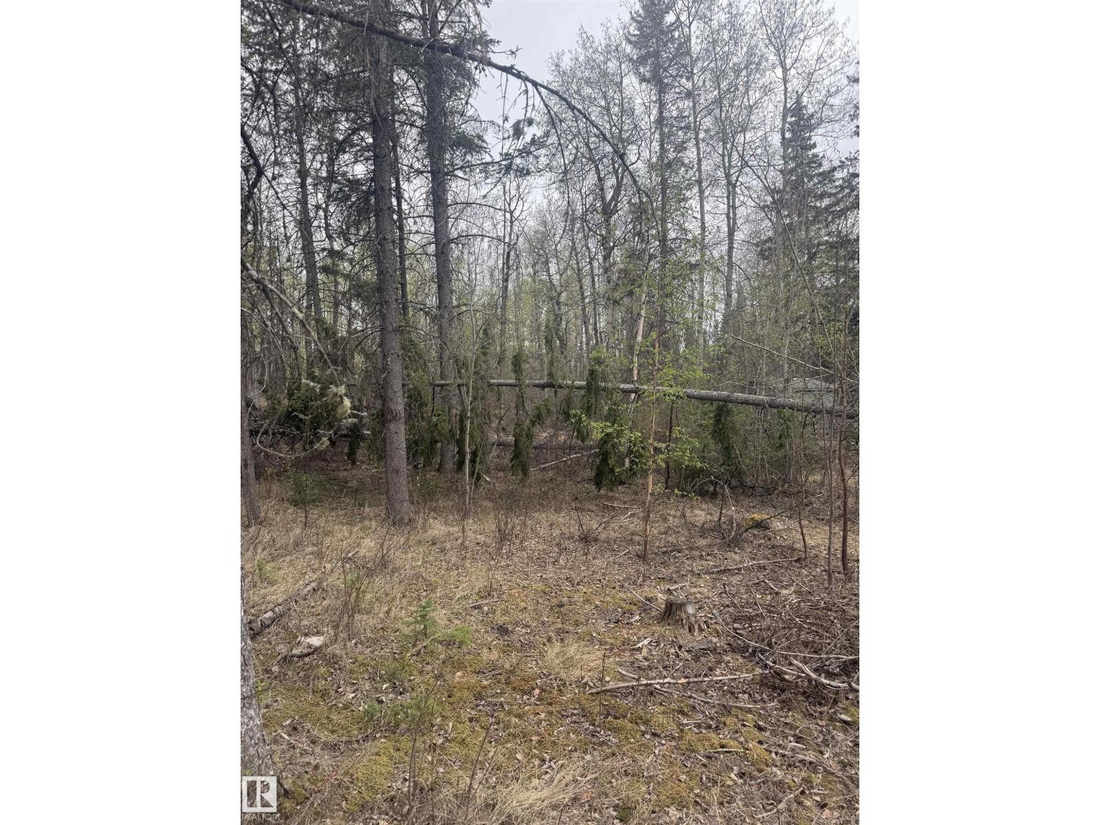 












445 Lakeview DR

,
Rural Lac Ste. Anne County,







Alberta
T0E1V0

