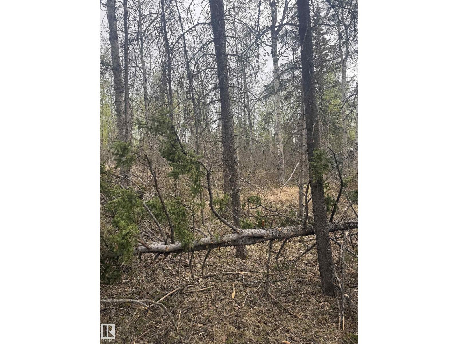 












445 Lakeview DR

,
Rural Lac Ste. Anne County,







Alberta
T0E1V0


