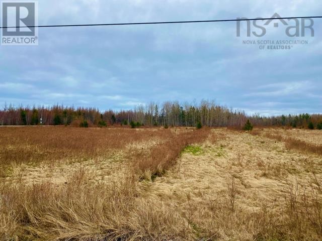 












Lot 99 North Shore Road

,
East Wallace,







Nova Scotia
B0K1E0

