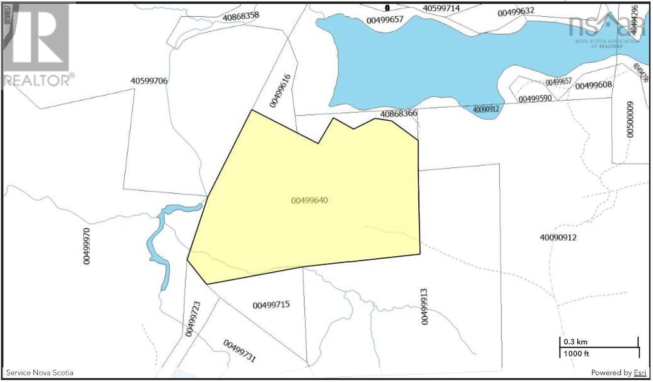 












Lot 1 Shaw Big Lake

,
Murchyville,







Nova Scotia
B0N1X0

