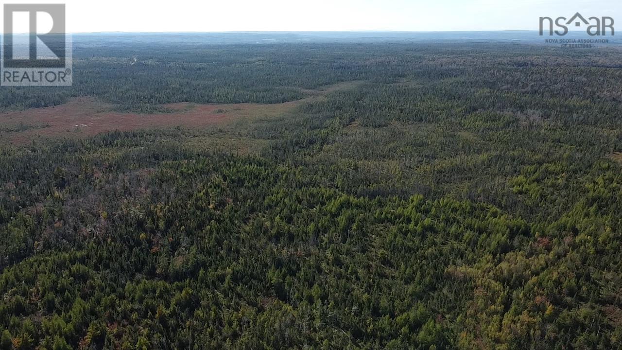 












Lot 1 Shaw Big Lake

,
Murchyville,







Nova Scotia
B0N1X0

