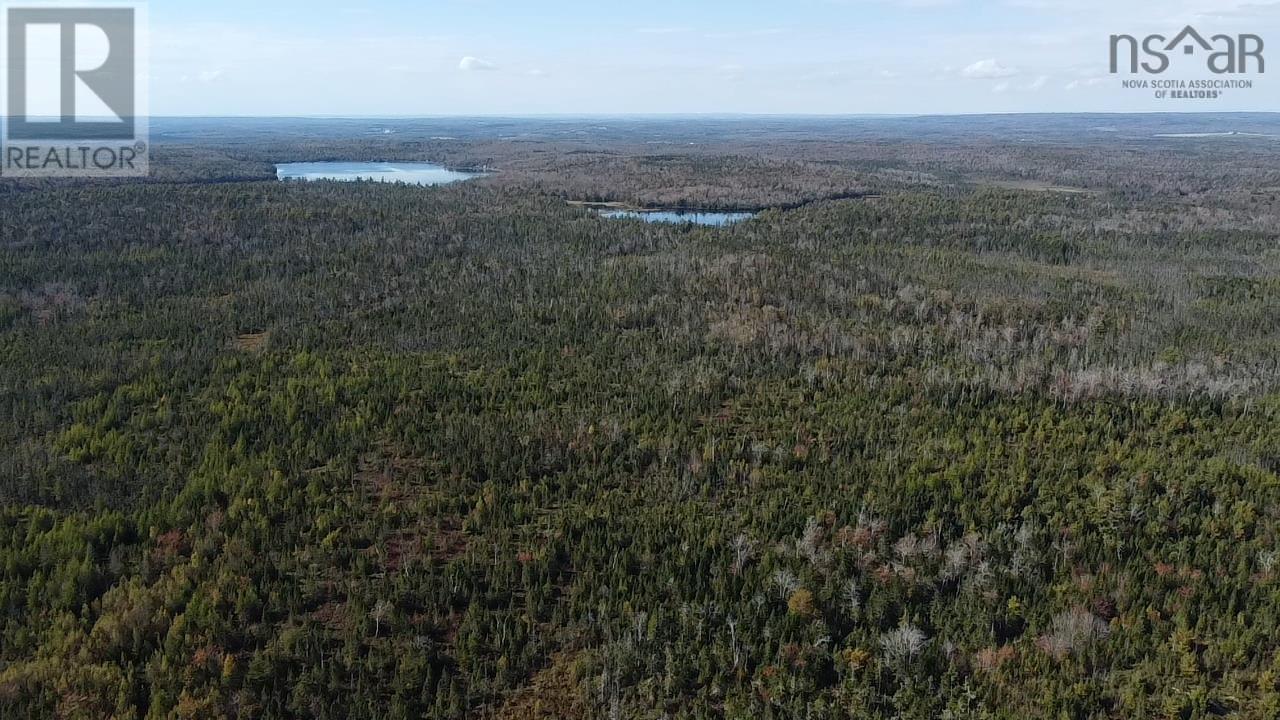 












Lot 1 Shaw Big Lake

,
Murchyville,







Nova Scotia
B0N1X0

