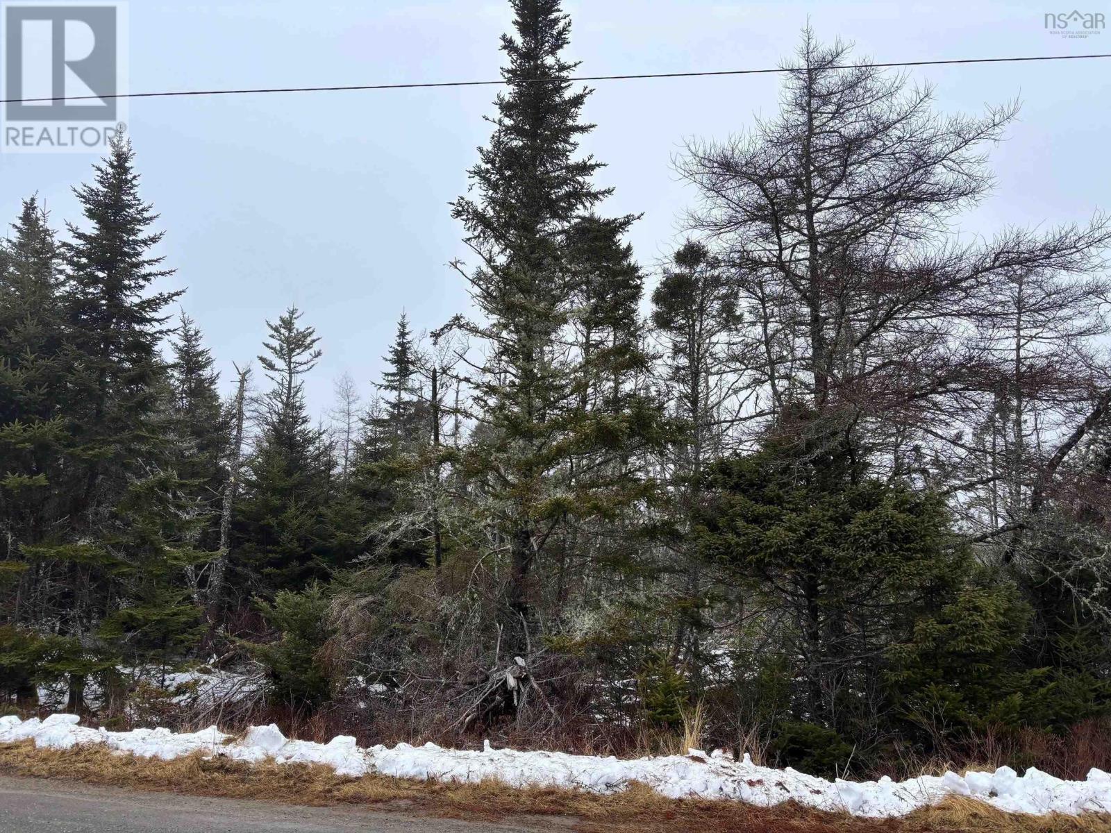 












NO 7 Highway

,
Necum Teuch,







Nova Scotia
B0J2K0

