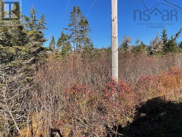 












0 West Ship Harbour Road

,
Owls Head,







Nova Scotia
B0J1P0

