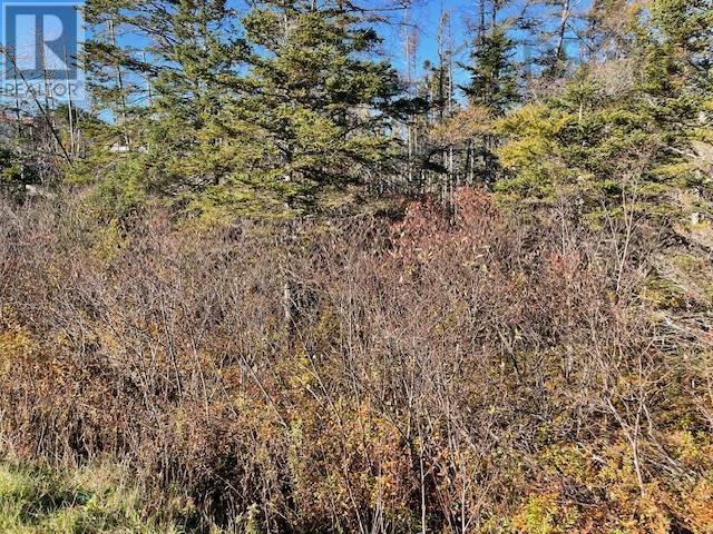 












0 West Ship Harbour Road

,
Owls Head,







Nova Scotia
B0J1P0


