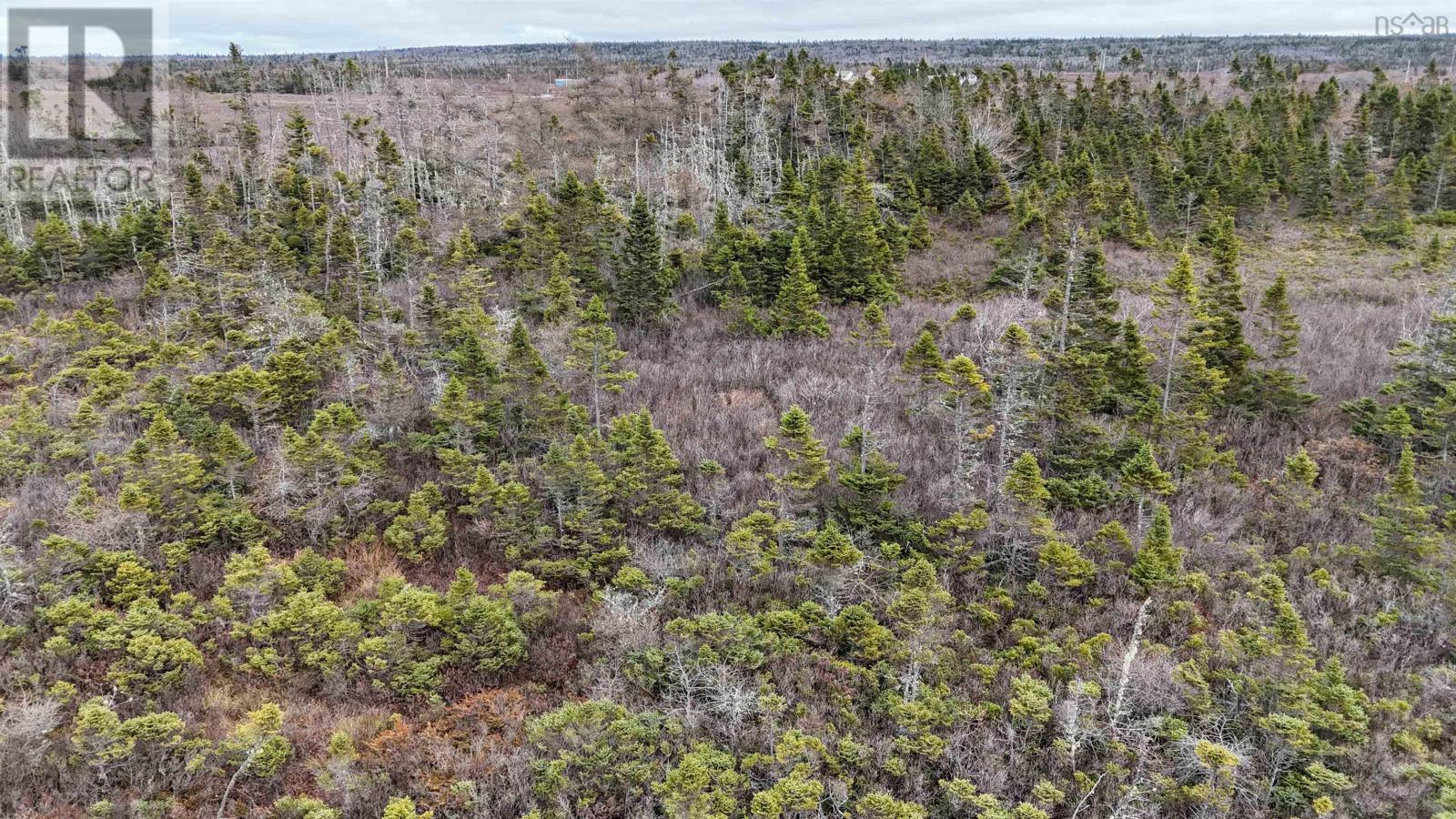 












Popes Road

,
Charlesville,







Nova Scotia
B0W2E0

