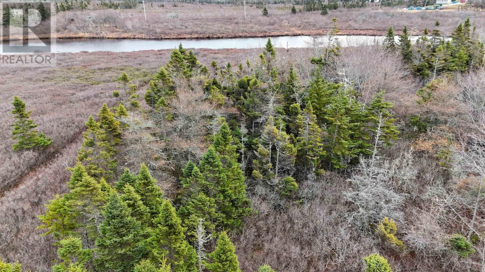 












Popes Road

,
Charlesville,







Nova Scotia
B0W2E0


