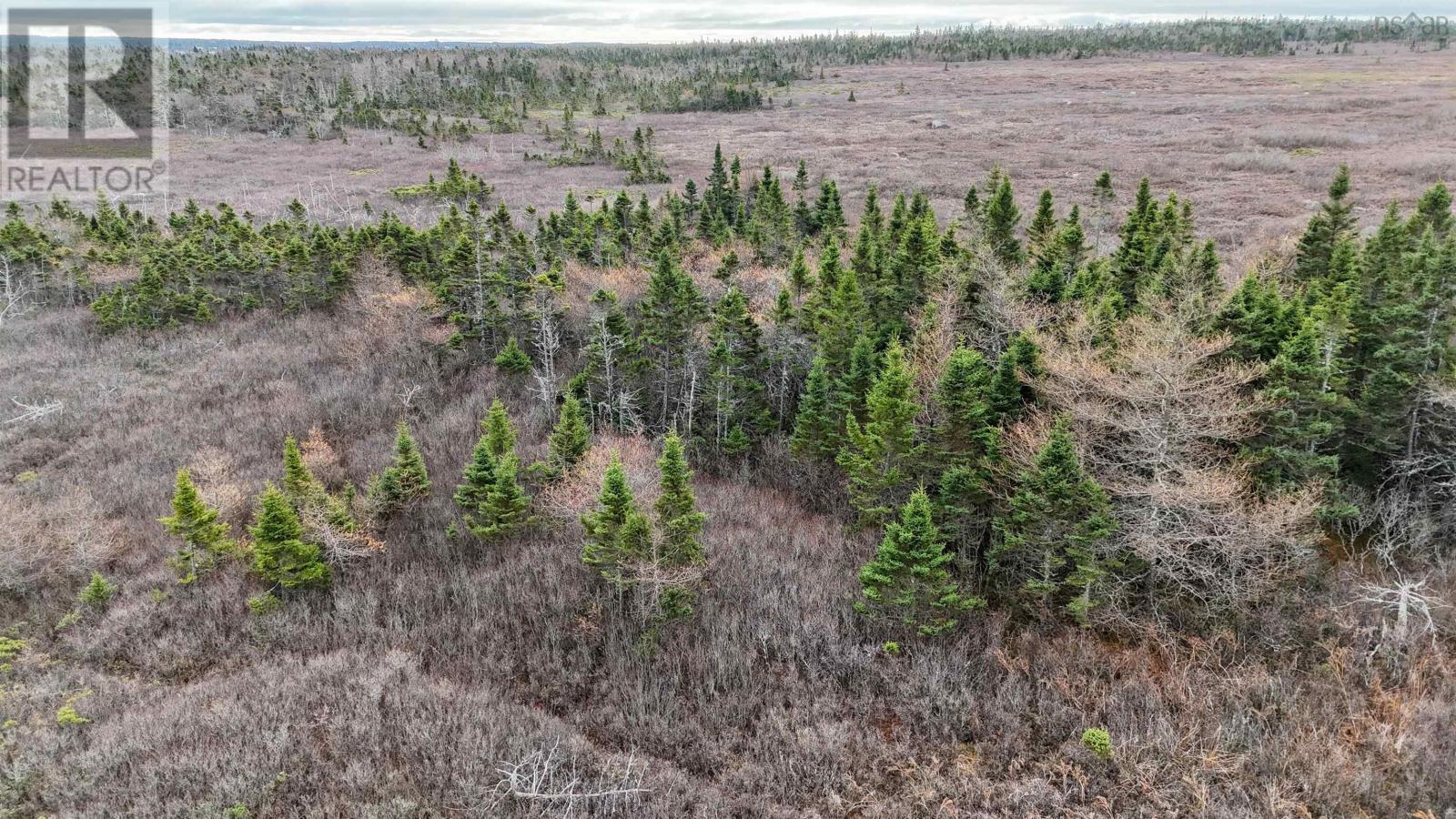 












Popes Road

,
Charlesville,







Nova Scotia
B0W2E0

