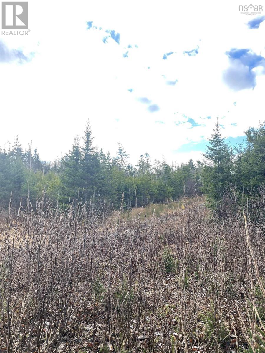 












21-2 West Liscomb Point Road

,
West Liscomb,







Nova Scotia
B0J2A0

