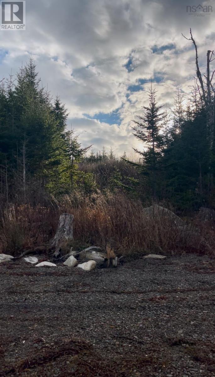 












21-2 West Liscomb Point Road

,
West Liscomb,







Nova Scotia
B0J2A0

