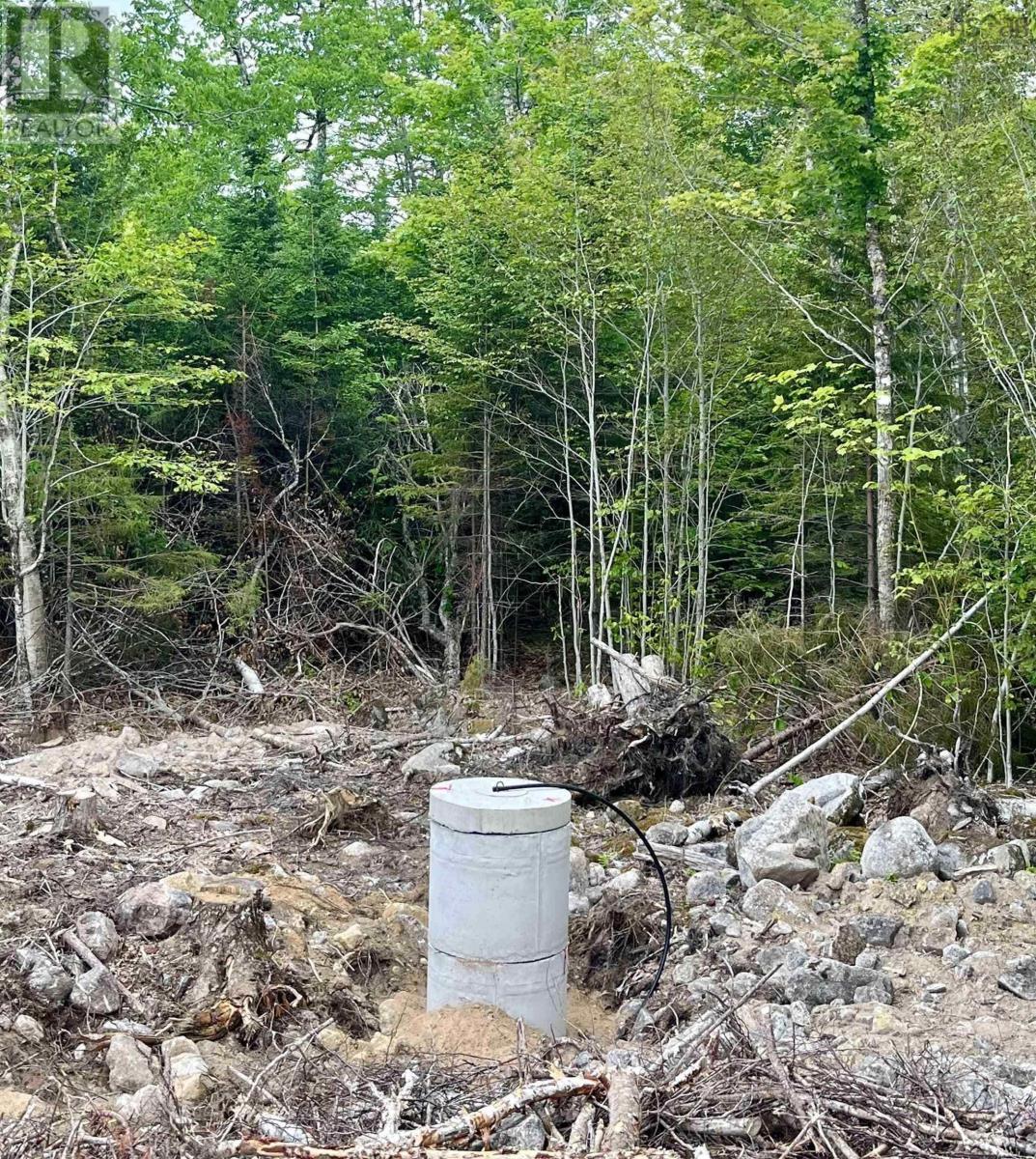 












Lot 49 Turner Point

,
Walden,







Nova Scotia
B0J2E0


