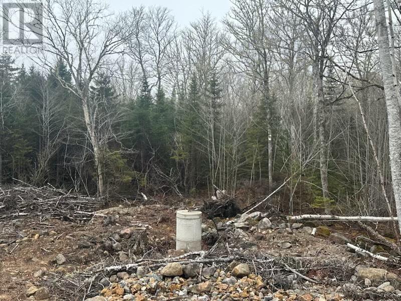 












Lot 49 Turner Point

,
Walden,







Nova Scotia
B0J2E0

