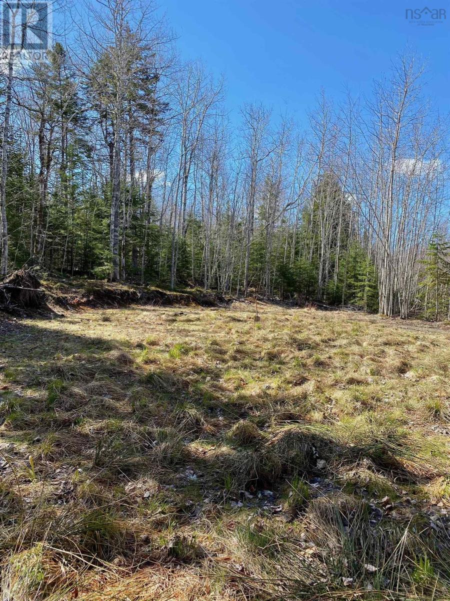 












Lot 8 Loch Broom

,
Loch Broom,







Nova Scotia
B0K1H0

