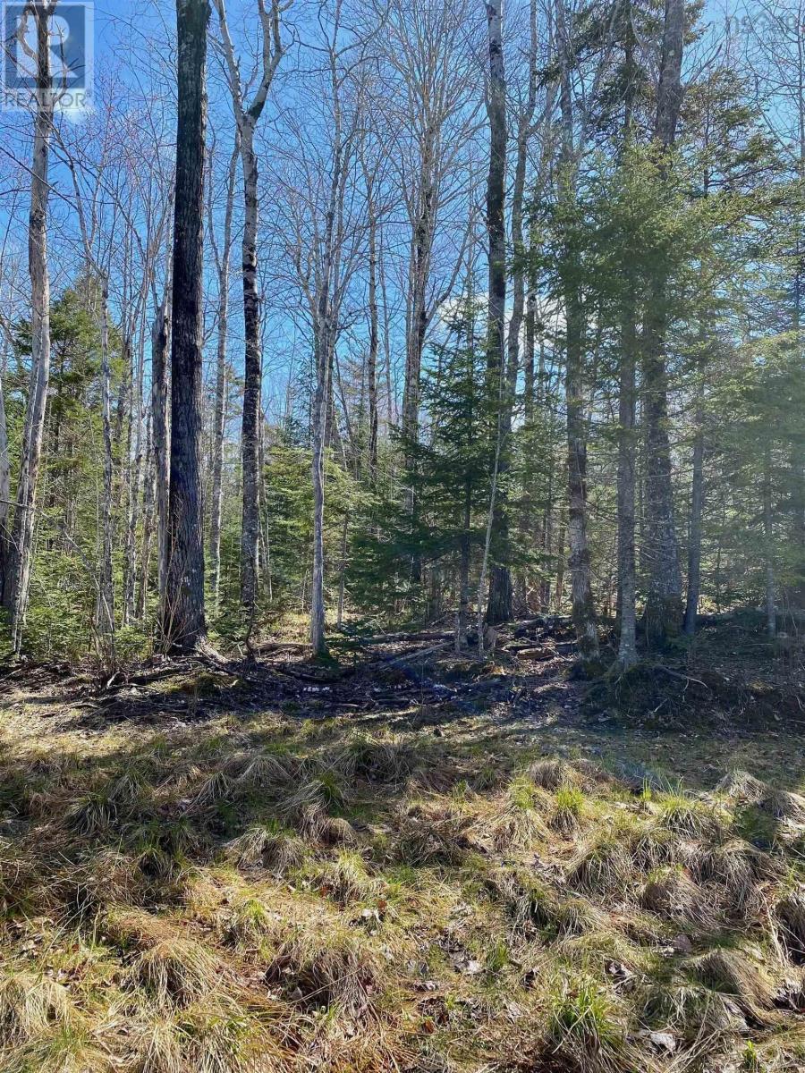












Lot 8 Loch Broom

,
Loch Broom,







Nova Scotia
B0K1H0

