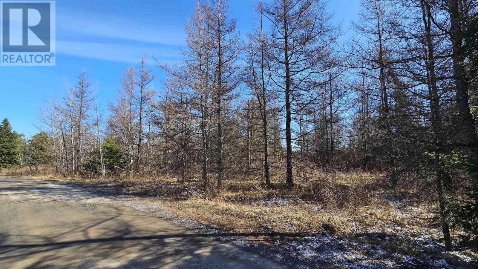 












Lot 55 Appalosa Trail

,
Bayhead,







Nova Scotia
B0K1V0

