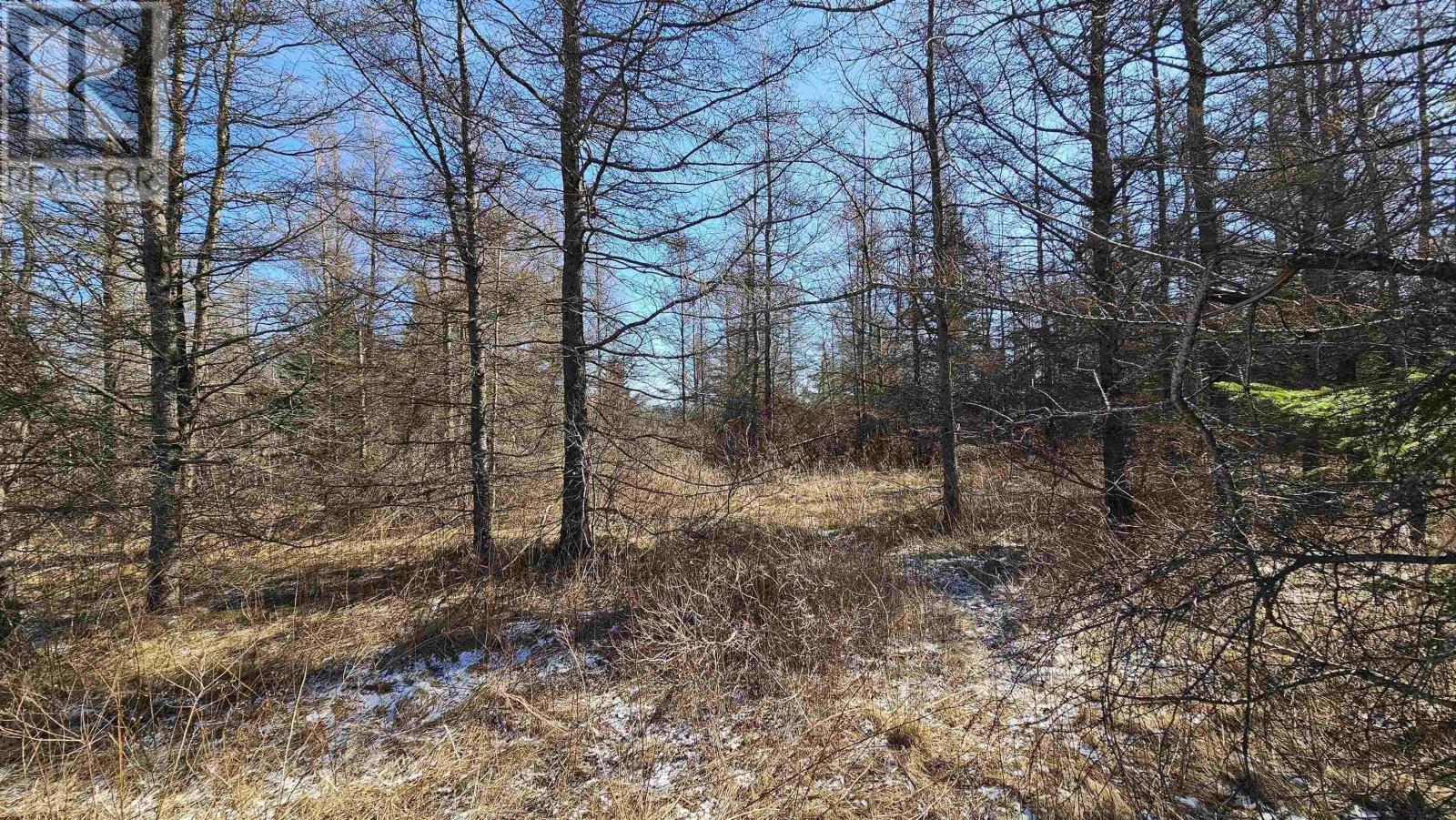 












Lot 55 Appalosa Trail

,
Bayhead,







Nova Scotia
B0K1V0

