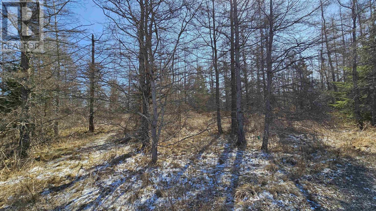 












Lot 55 Appalosa Trail

,
Bayhead,







Nova Scotia
B0K1V0

