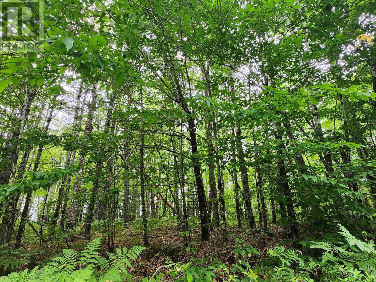 












Lot 73 Baker Point Road

,
Molega,







Nova Scotia
B0T1X0

