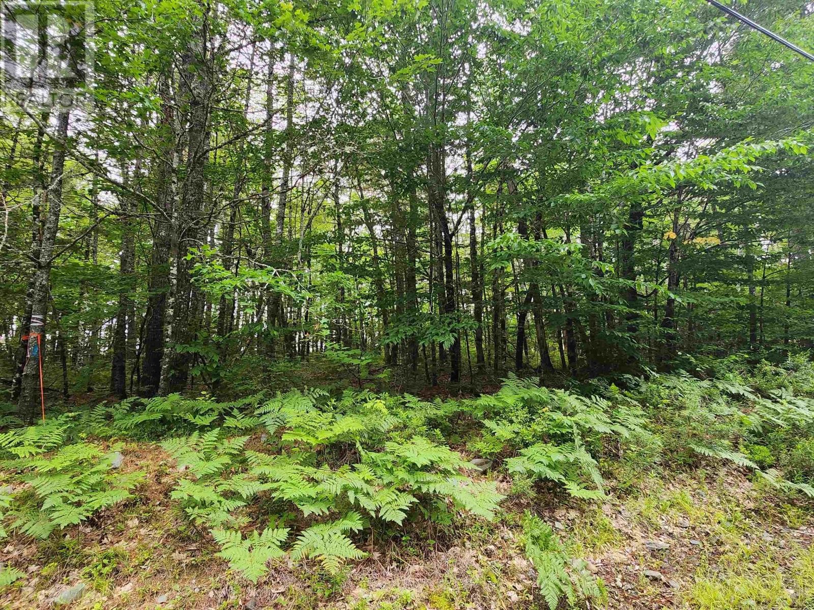 












Lot 73 Baker Point Road

,
Molega,







Nova Scotia
B0T1X0


