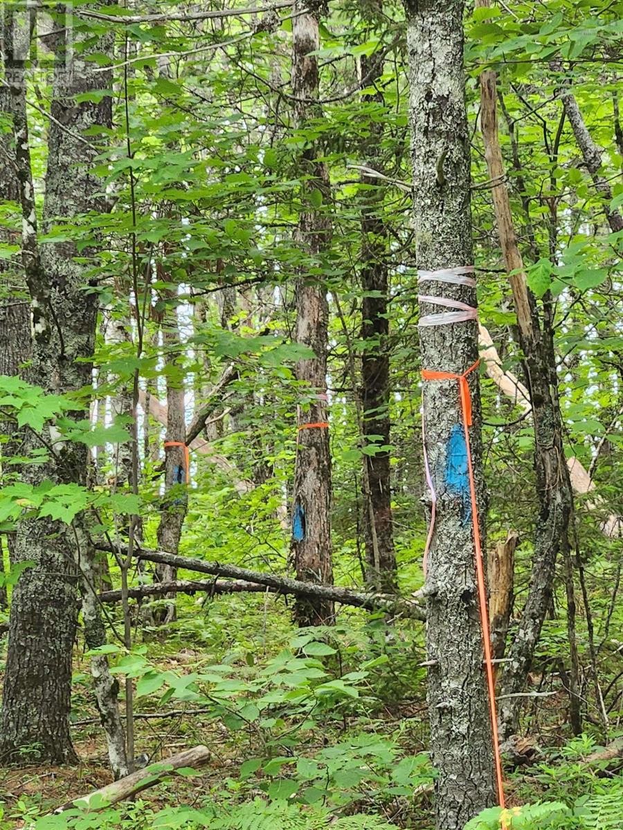 












Lot 73 Baker Point Road

,
Molega,







Nova Scotia
B0T1X0

