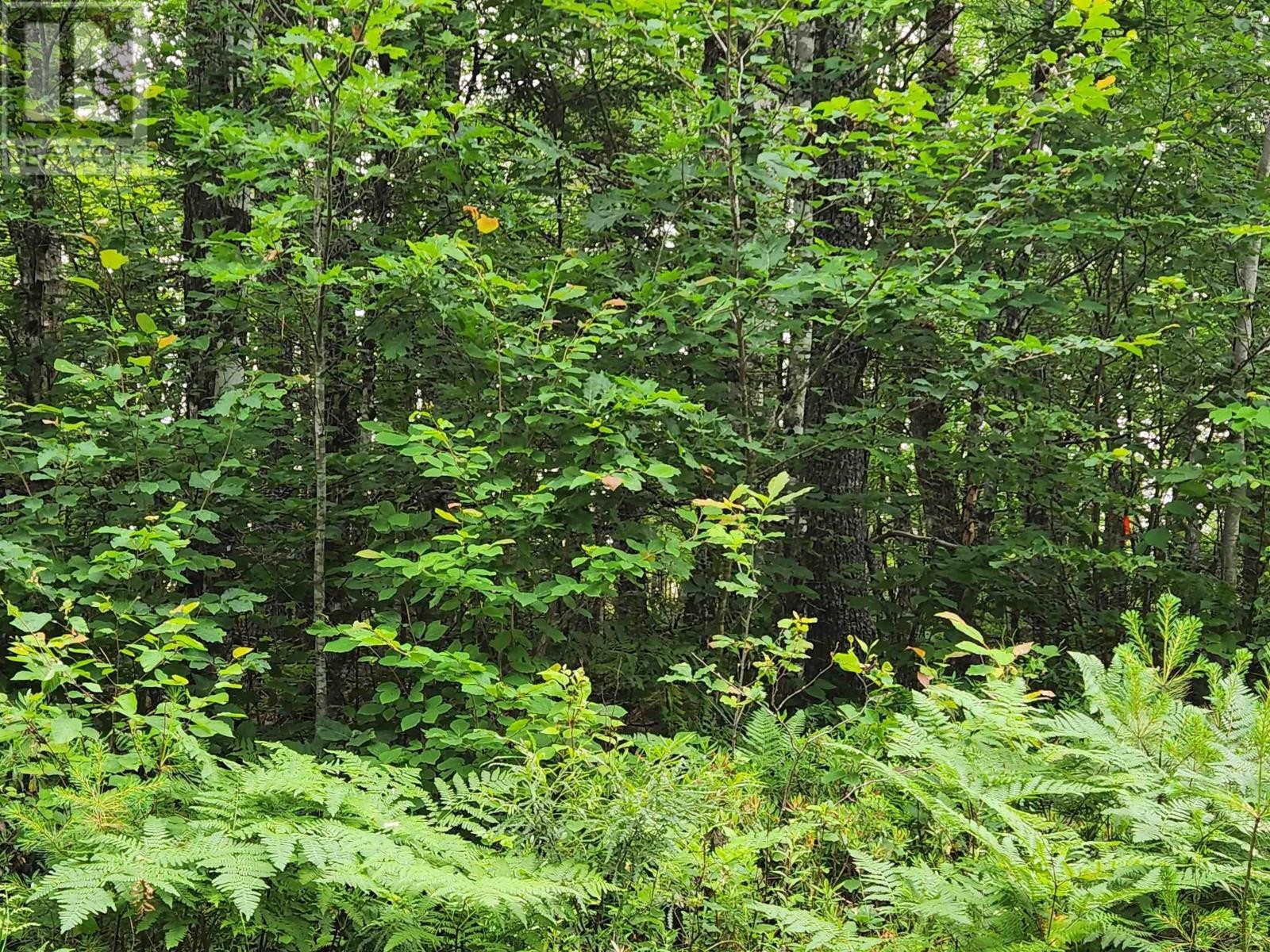 












Lot 73 Baker Point Road

,
Molega,







Nova Scotia
B0T1X0

