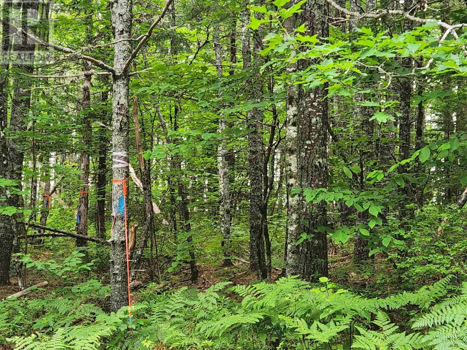 












Lot 73 Baker Point Road

,
Molega,







Nova Scotia
B0T1X0

