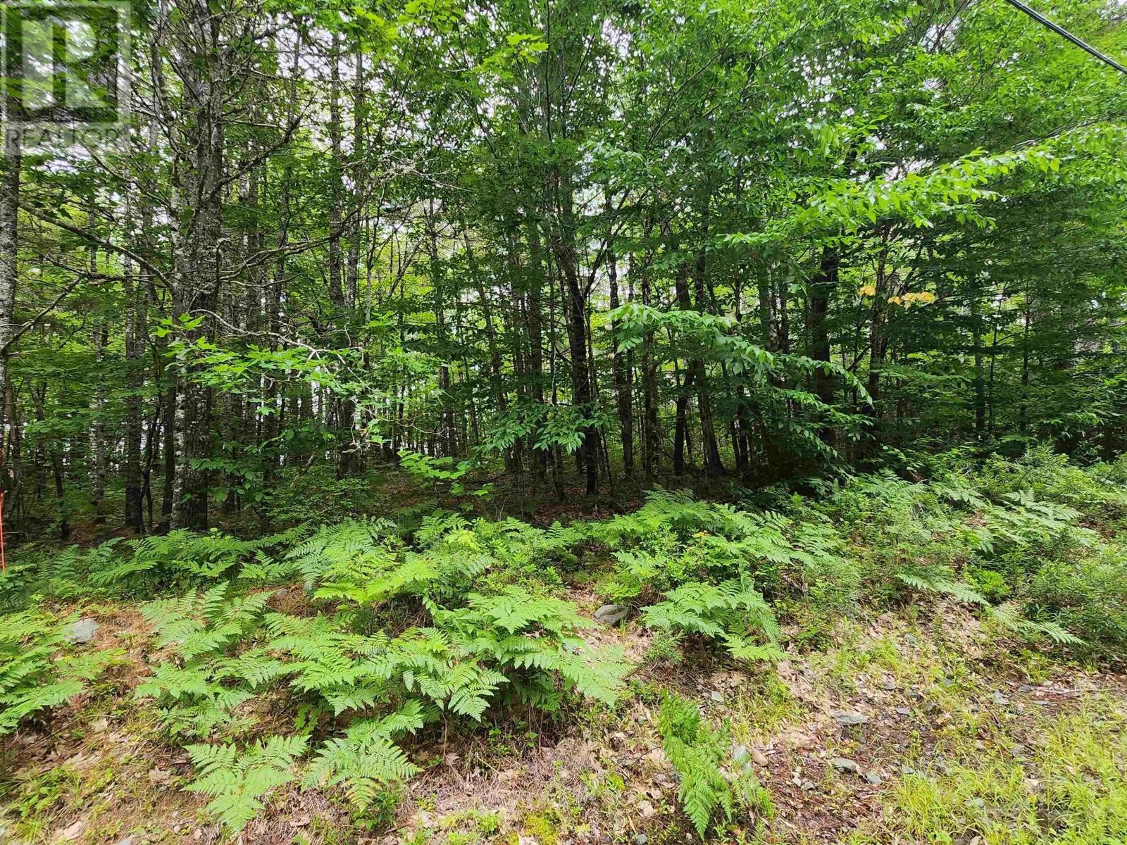 












Lot 73 Baker Point Road

,
Molega,







Nova Scotia
B0T1X0

