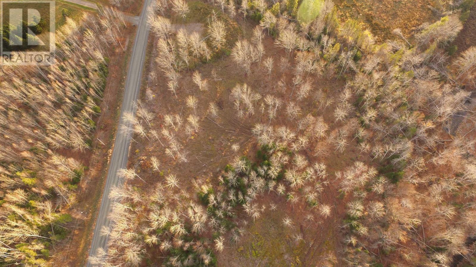 












Brookland Road

,
Brookland,







Nova Scotia
B0K1P0

