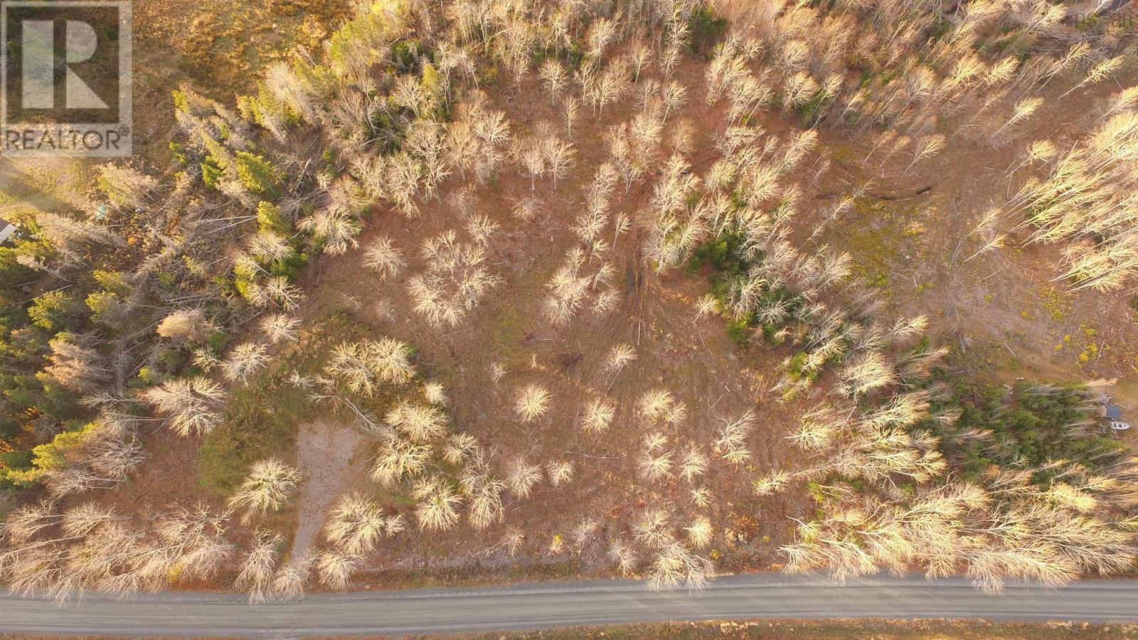 












Brookland Road

,
Brookland,







Nova Scotia
B0K1P0

