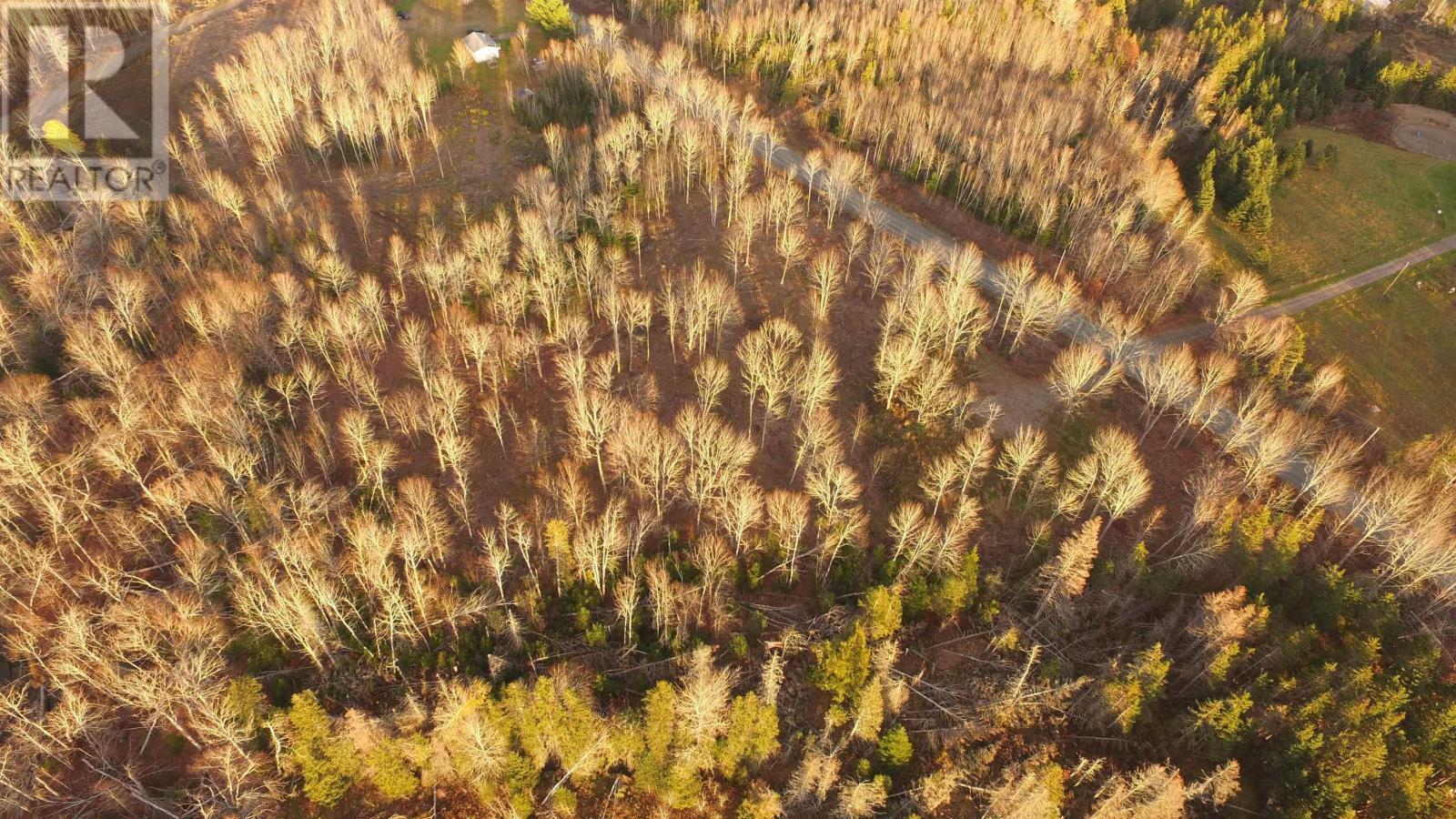












Brookland Road

,
Brookland,







Nova Scotia
B0K1P0

