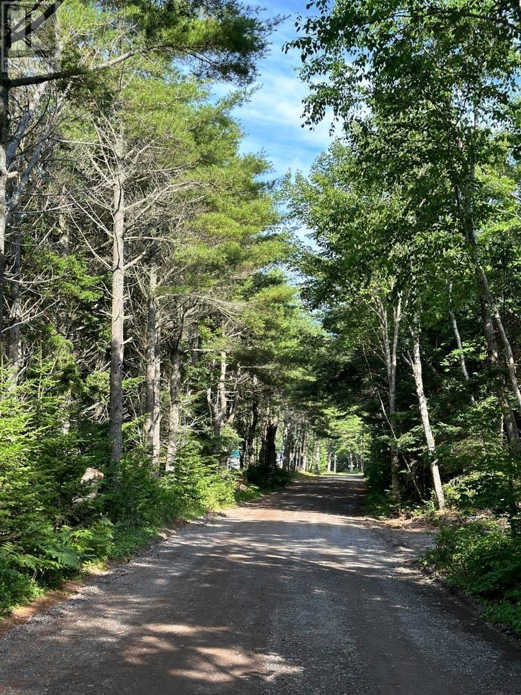 












239 Bay Shore Road

,
Five Houses,







Nova Scotia
B0M1B0

