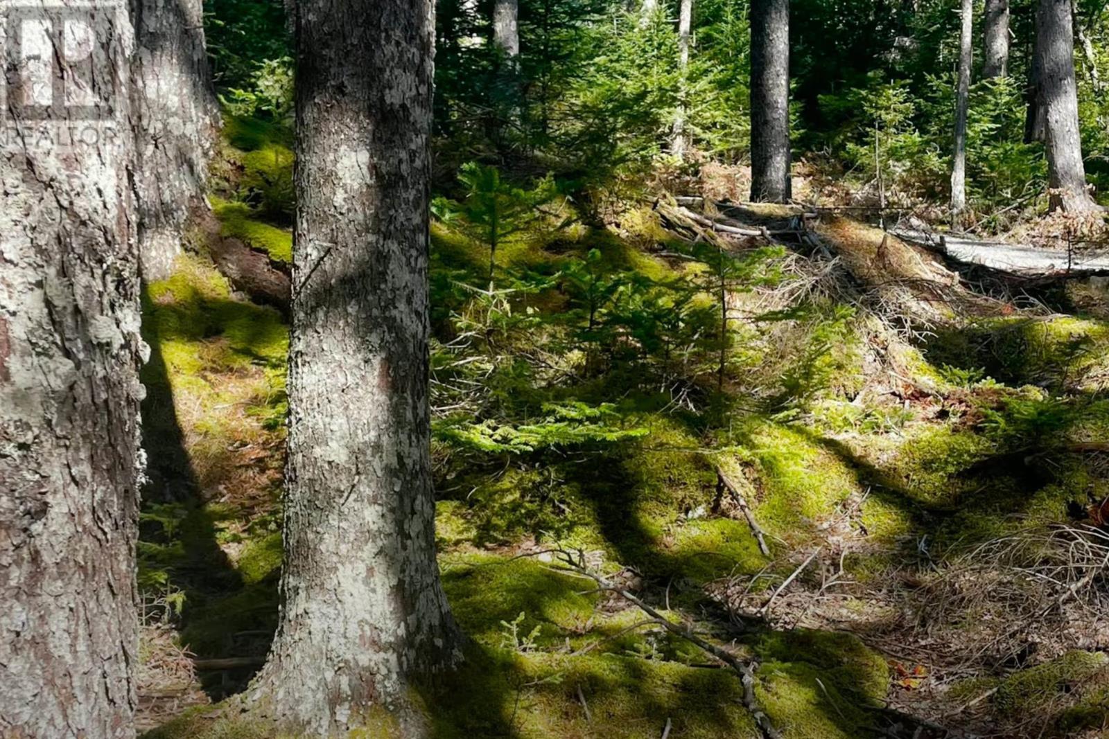 












69 Meek Arm Trail

,
East Hants,







Nova Scotia
B0N1Z0

