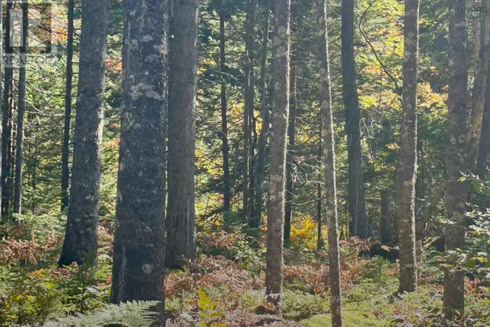 












69 Meek Arm Trail

,
East Hants,







Nova Scotia
B0N1Z0

