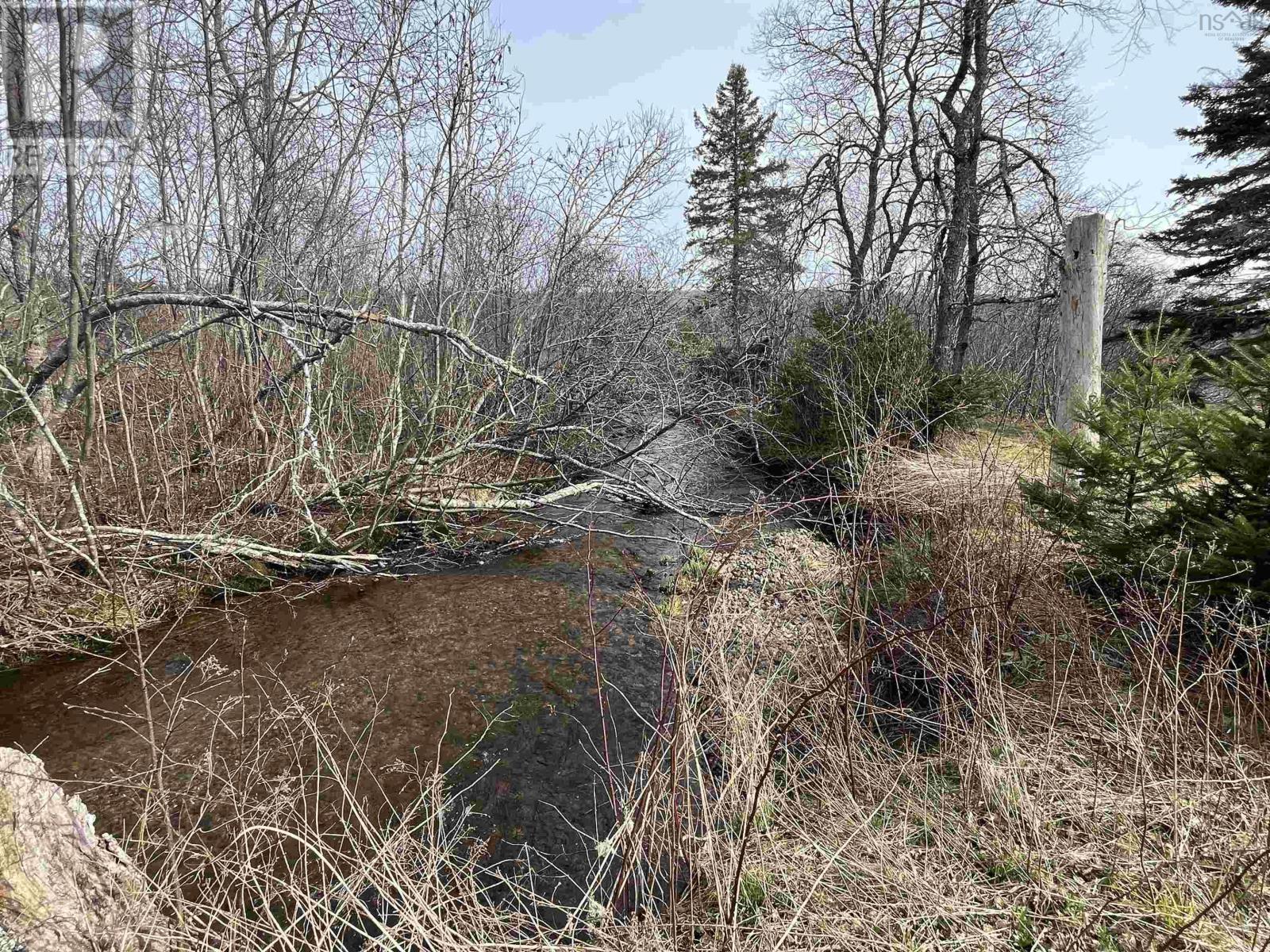 












510 Green Settlement Road

,
Black Brook,







Nova Scotia
B2H5C8

