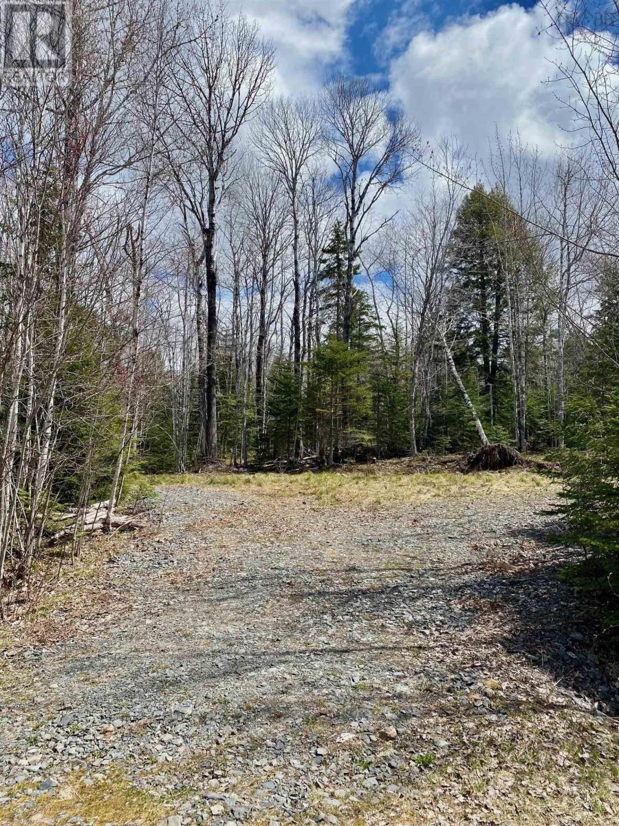 












Lot 8 Loch Broom

,
Loch Broom,







Nova Scotia
B0K1H0

