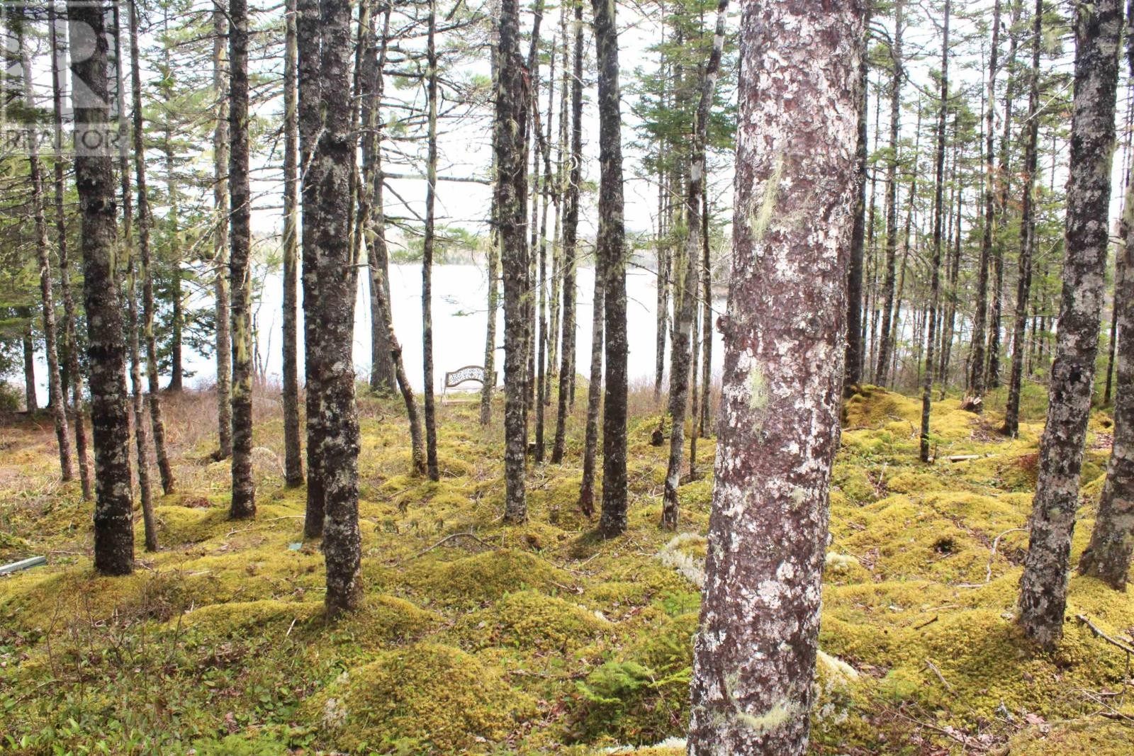 












1A Lake Charlotte

,
Upper Lakeville,







Nova Scotia
B0J1P0

