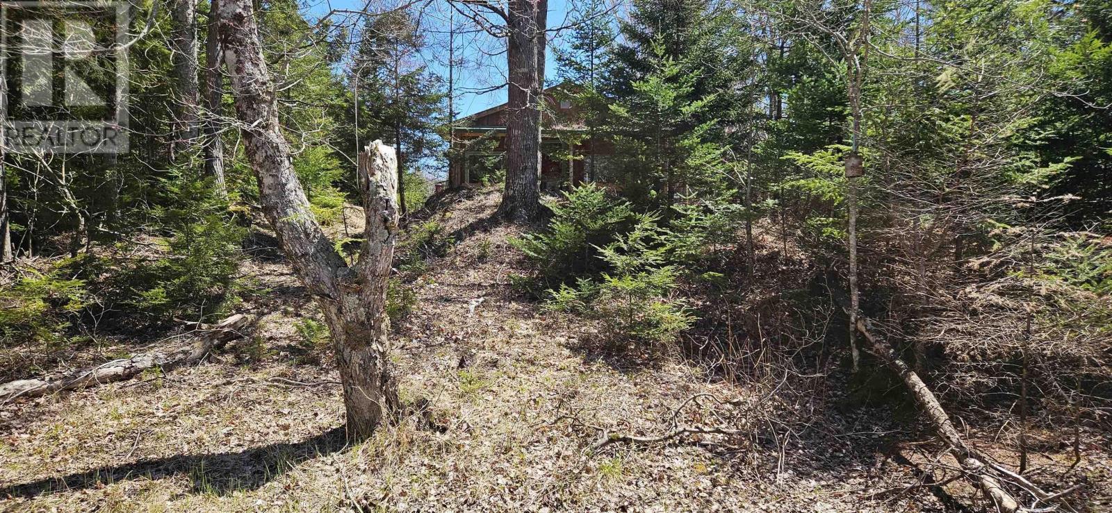 












287 Cole Road

,
Meaghers Grant,







Nova Scotia
B0N1V0

