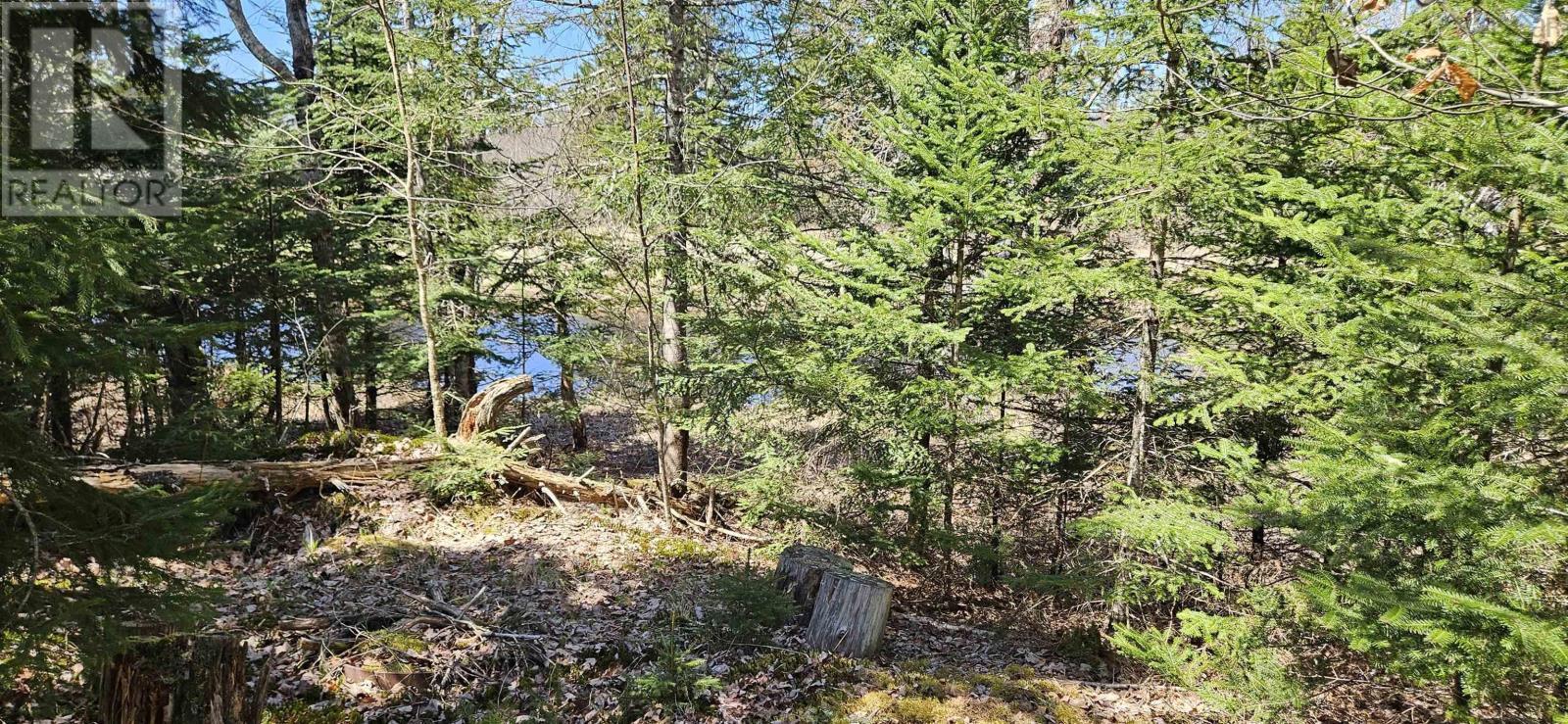 












287 Cole Road

,
Meaghers Grant,







Nova Scotia
B0N1V0

