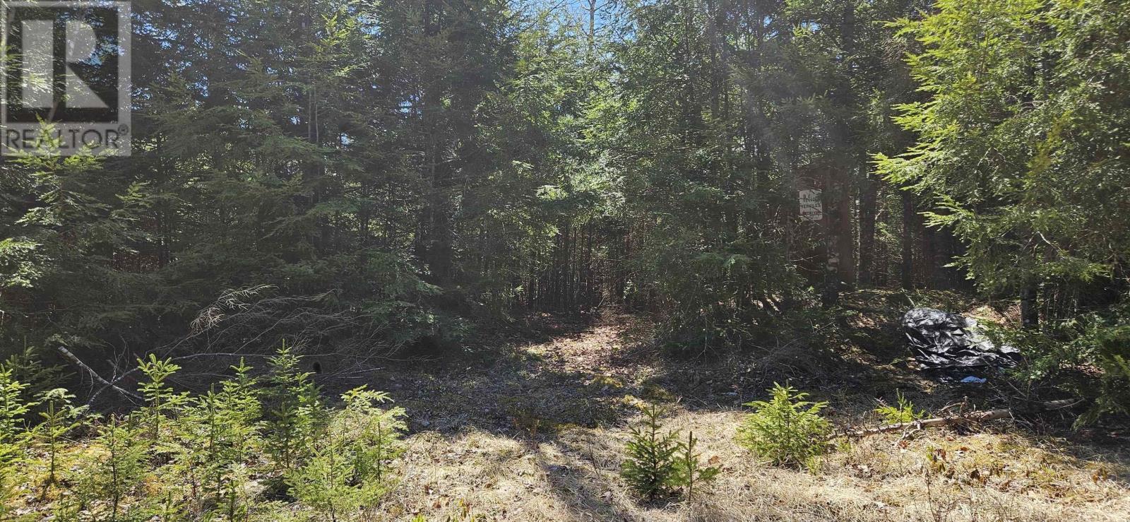 












287 Cole Road

,
Meaghers Grant,







Nova Scotia
B0N1V0

