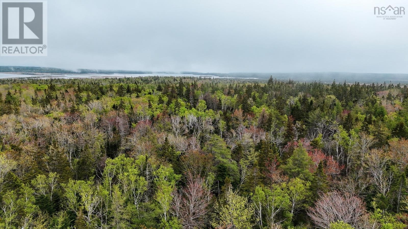 












Birch Grove Road

,
Port Morien,







Nova Scotia
B1B1J3

