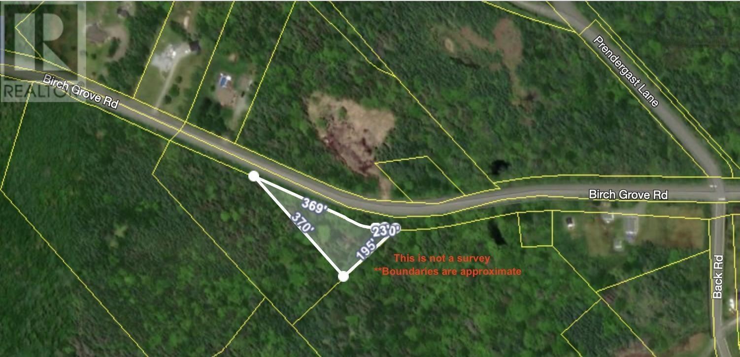 












Birch Grove Road

,
Port Morien,







Nova Scotia
B1B1J3

