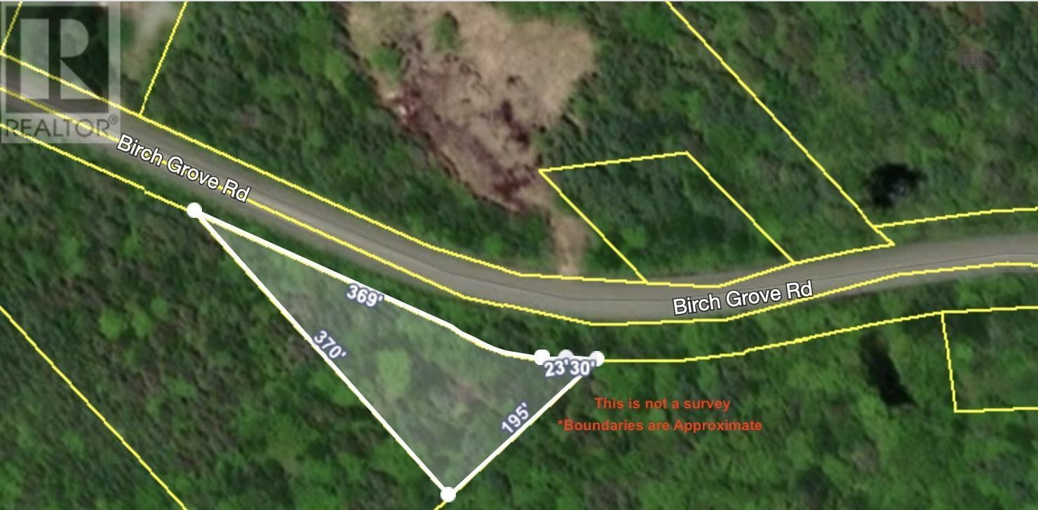 












Birch Grove Road

,
Port Morien,







Nova Scotia
B1B1J3

