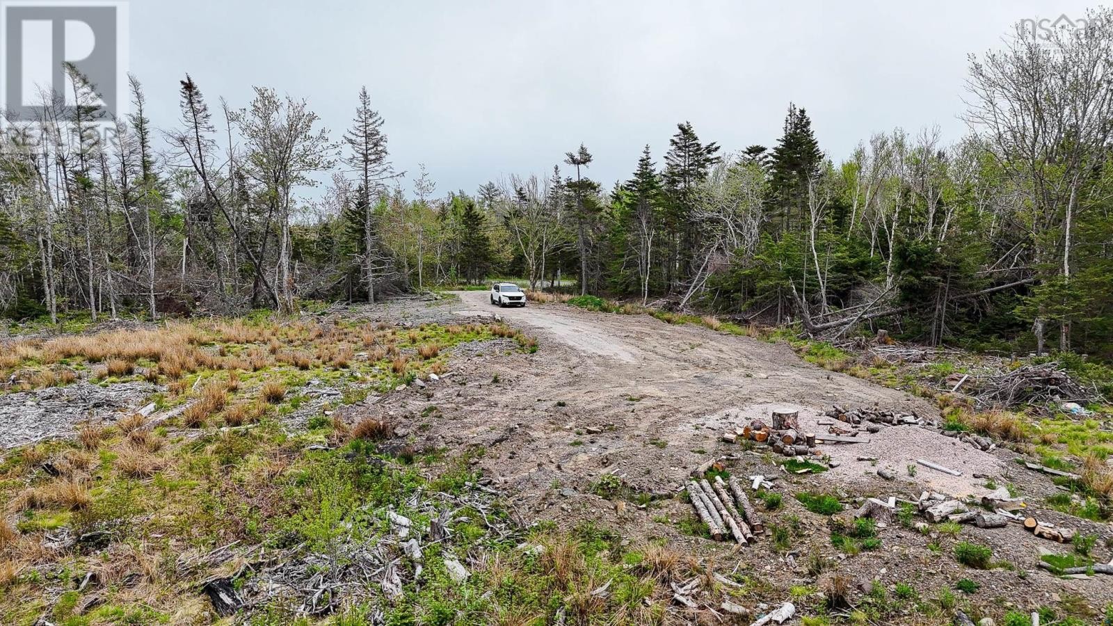 












Birch Grove Road

,
Port Morien,







Nova Scotia
B1B1J3

