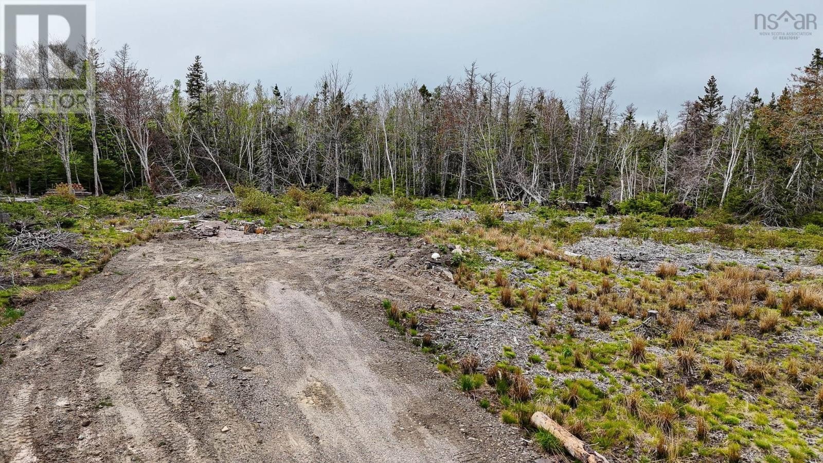 












Birch Grove Road

,
Port Morien,







Nova Scotia
B1B1J3

