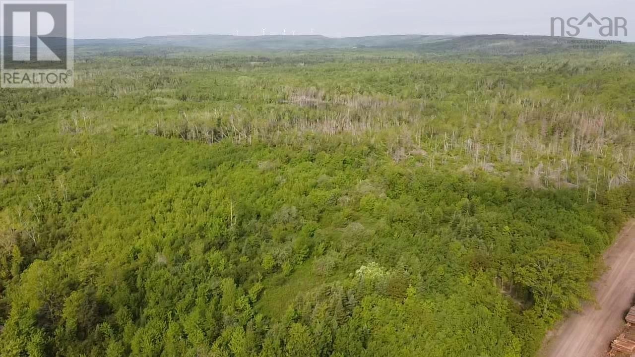 












Lot 49+ Ac Rod MacKay Road

,
Four Mile Brook,







Nova Scotia
B0K1X0

