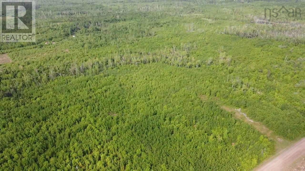 












Lot 49+ Ac Rod MacKay Road

,
Four Mile Brook,







Nova Scotia
B0K1X0

