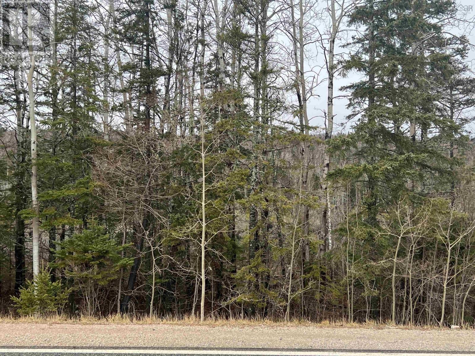 












Leitches creek Road

,
North Sydney,







Nova Scotia
B2A3Y9

