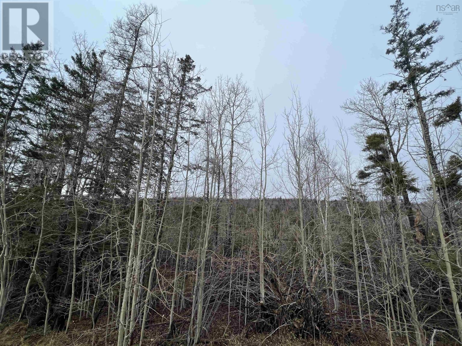 












Leitches creek Road

,
North Sydney,







Nova Scotia
B2A3Y9

