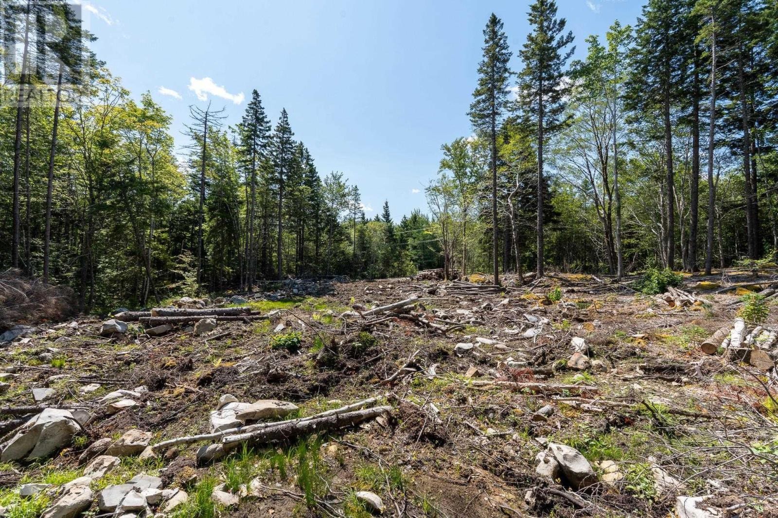 












Lot Llewellyn Road

,
Middlewood,







Nova Scotia
B4V6K9

