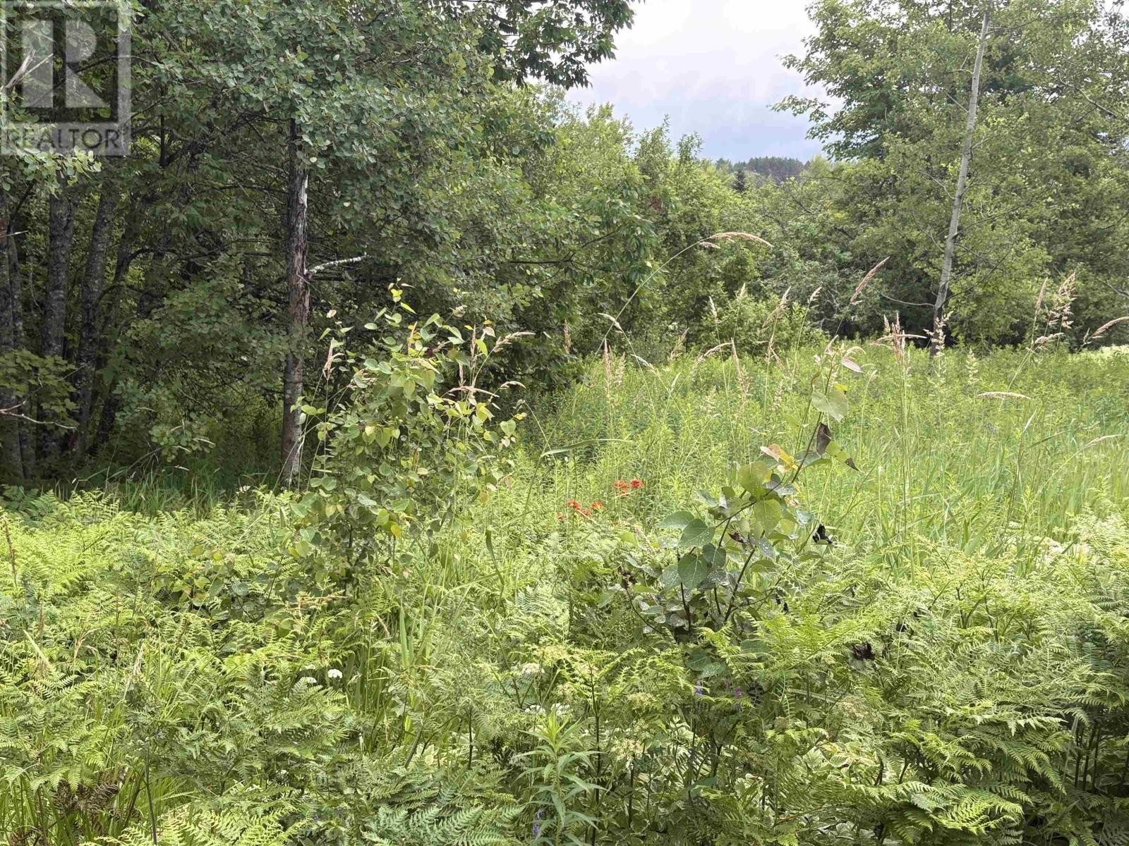 












Lot 235 Landsdowne Station Road

,
Lansdowne Station,







Nova Scotia
B0K2A0

